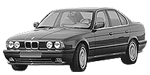 BMW E34 P2A09 Fault Code